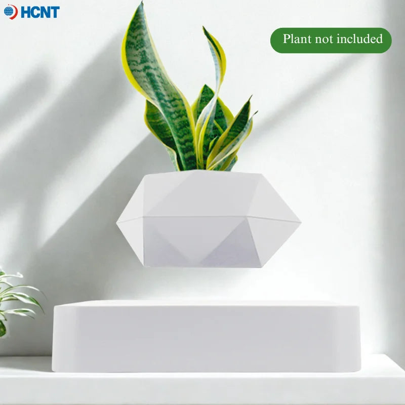 Levitating Succulent Premium Floating Flower Pot