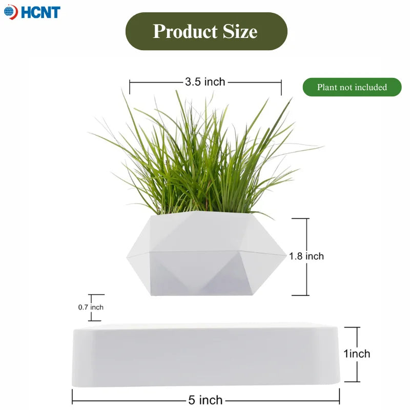 Levitating Succulent Premium Floating Flower Pot