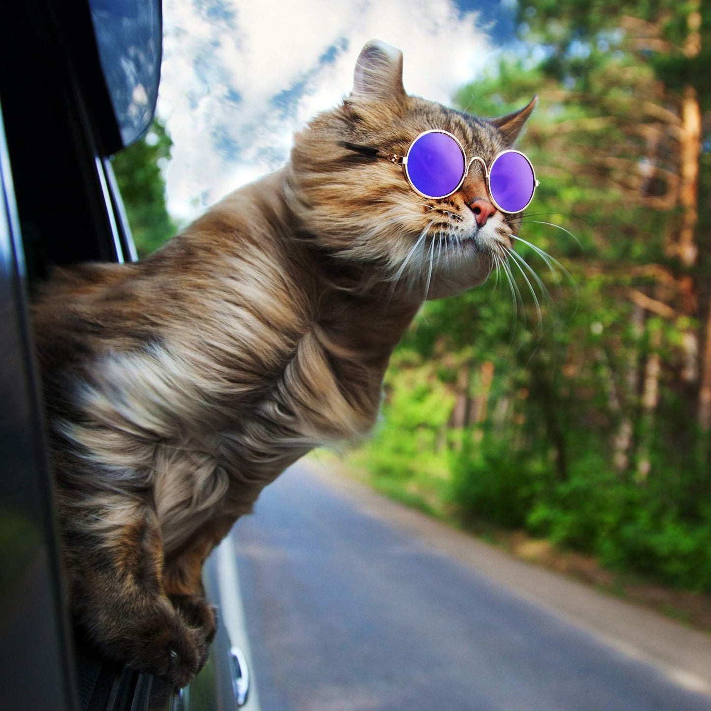 "Paw-Shades" 6-Pack Sunglasses for Cats & Dogs