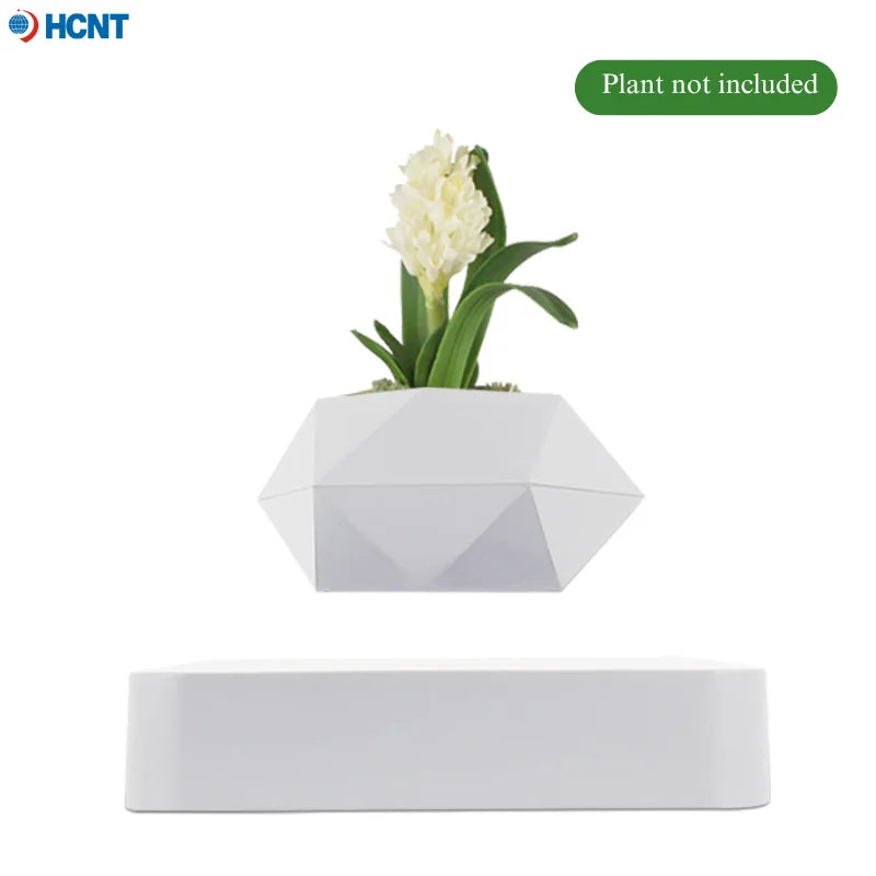 Levitating Succulent Premium Floating Flower Pot