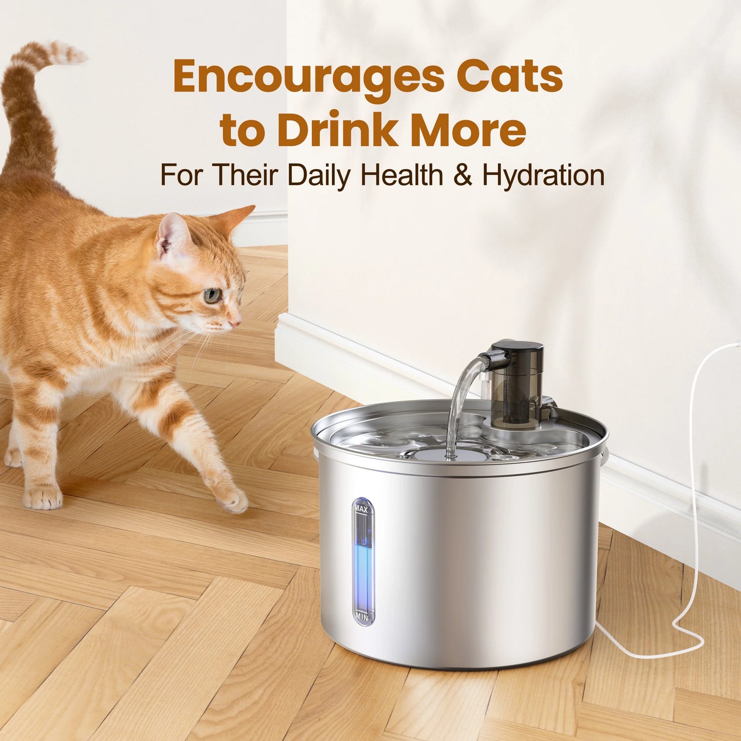 3 Liter Cat Drinking Fountain Made With Stainless Steel 