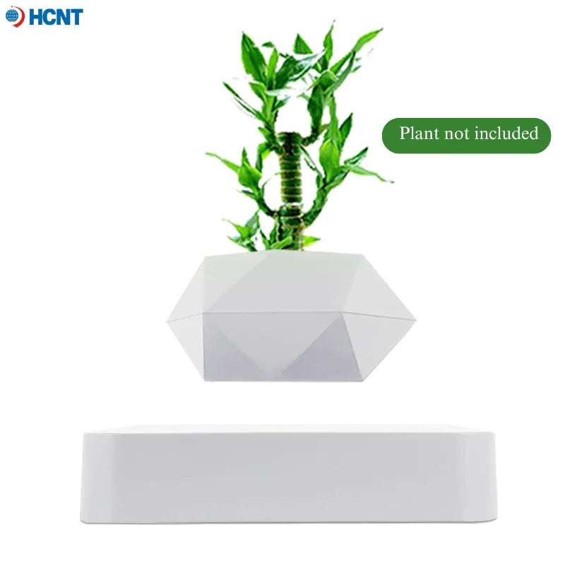 Levitating Succulent Premium Floating Flower Pot