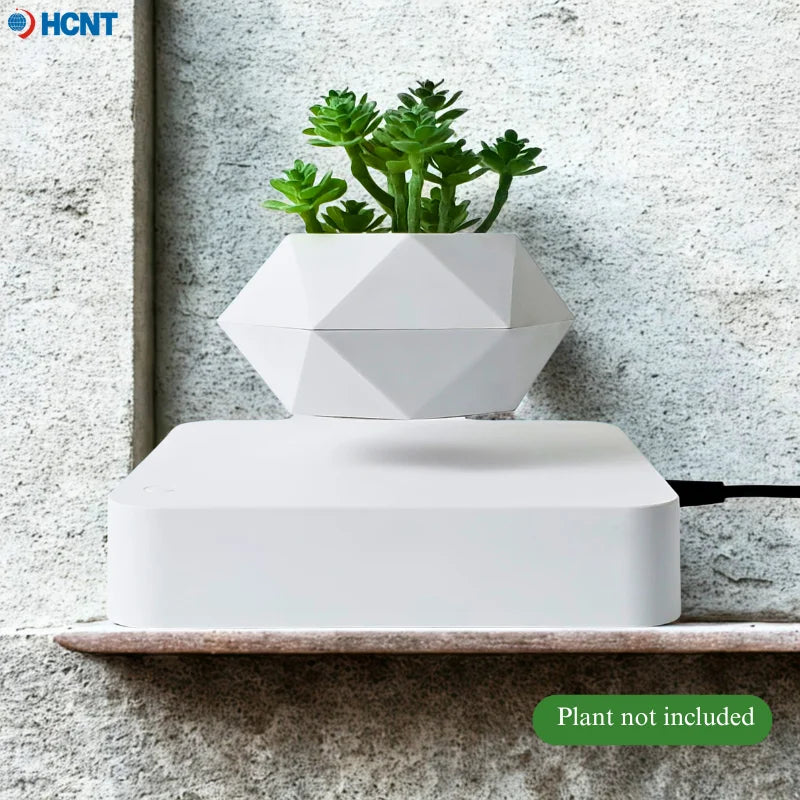 Levitating Succulent Premium Floating Flower Pot