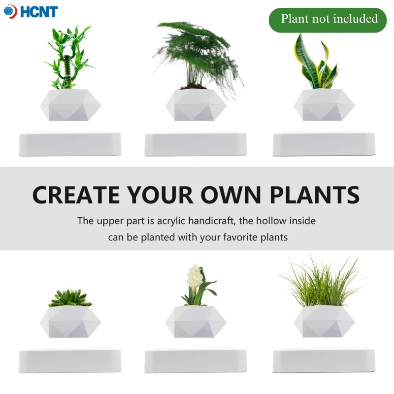 Levitating Succulent Premium Floating Flower Pot
