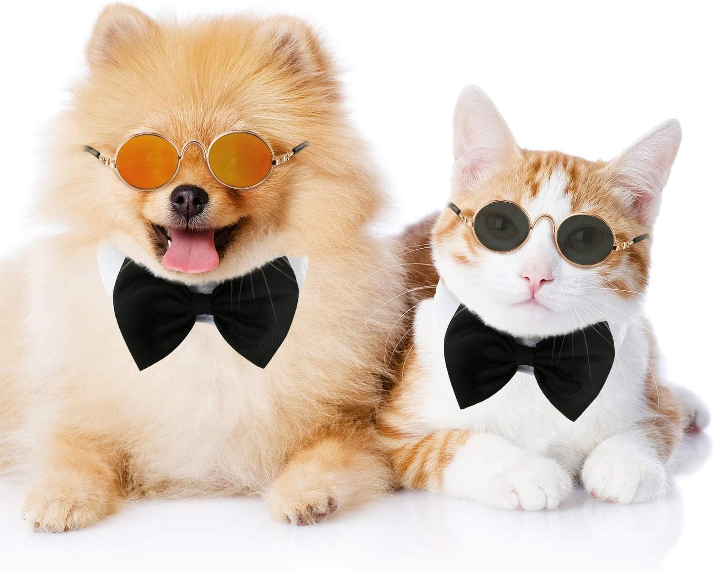 "Paw-Shades" 6-Pack Sunglasses for Cats & Dogs