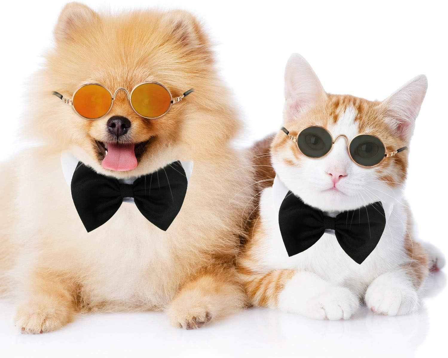 "Paw-Shades" 6-Pack Sunglasses for Cats & Dogs