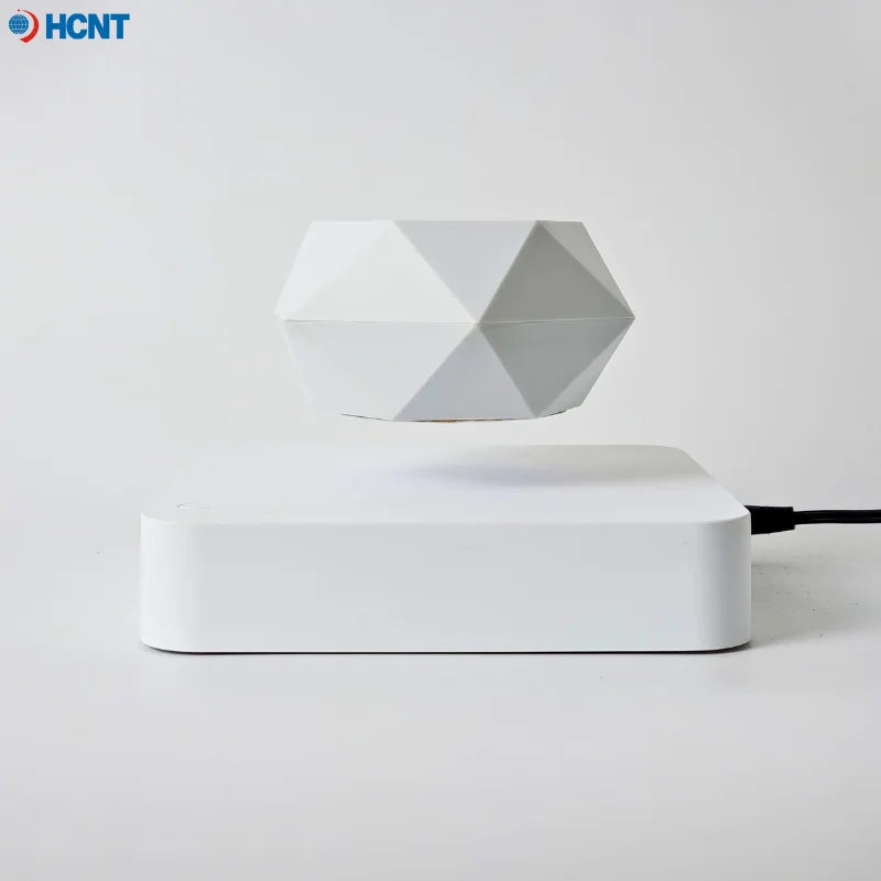 Levitating Succulent Premium Floating Flower Pot
