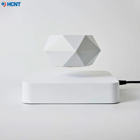 Levitating Succulent Premium Floating Flower Pot